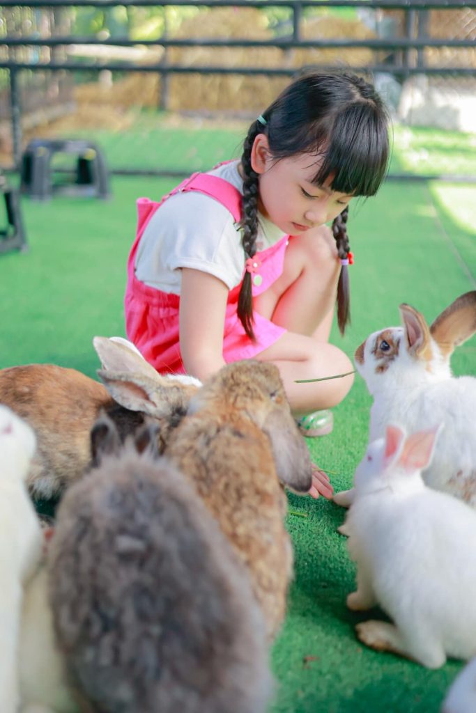 Girl feeding a goat at Lanna Mini Zoo Chiang Mai