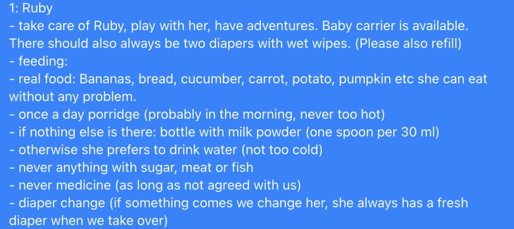 Rules on how to take care of the baby for the nanny