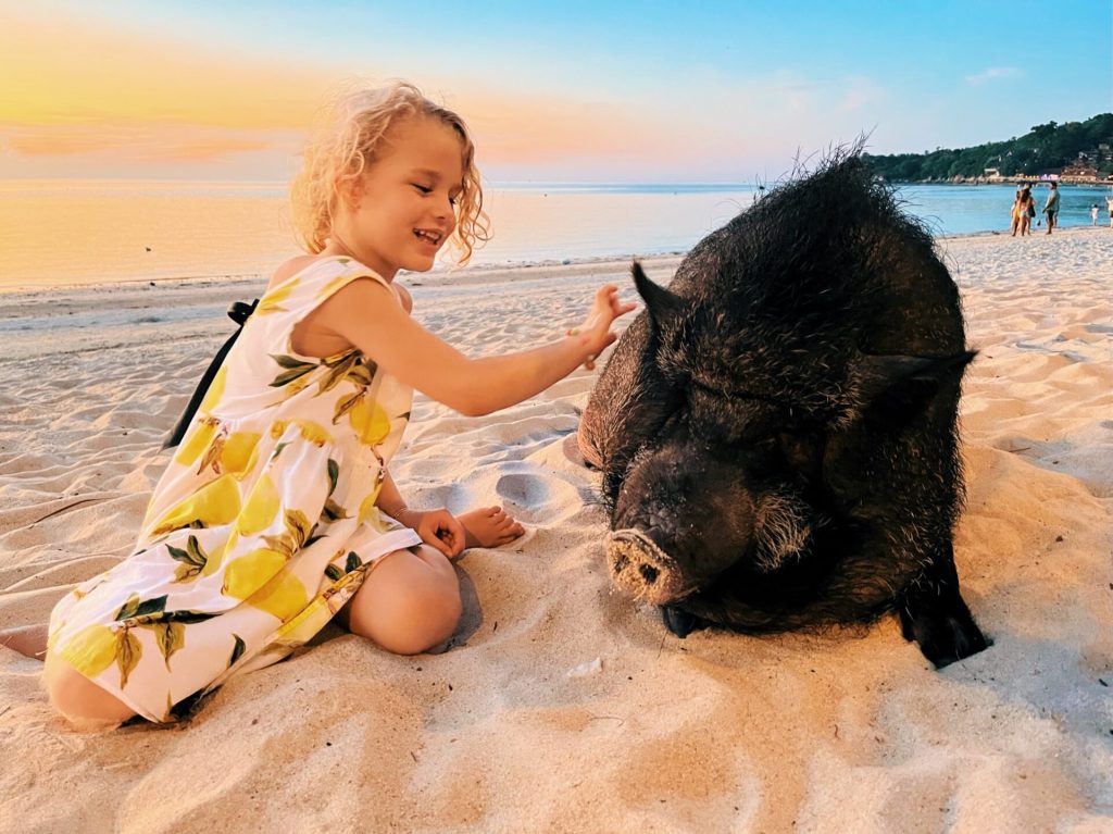 Digital Nomad Family spending time on a beach, petting a black pig. Digital nomad mistakes