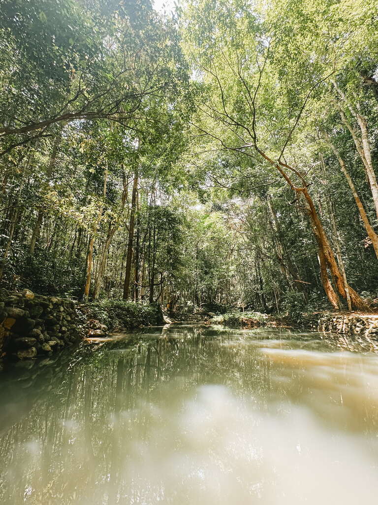 Small lake with tropical trees