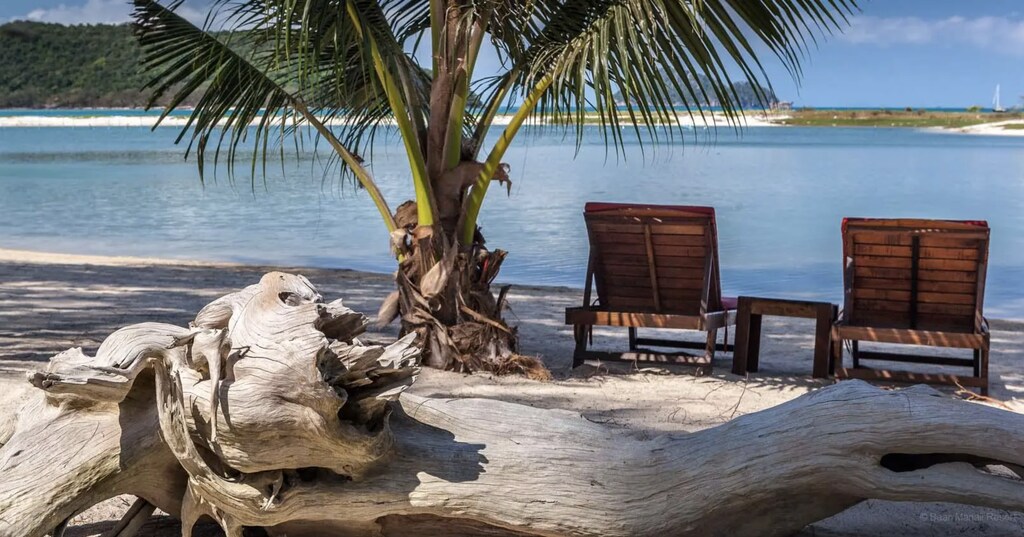 Beach with sunbed and palm tree