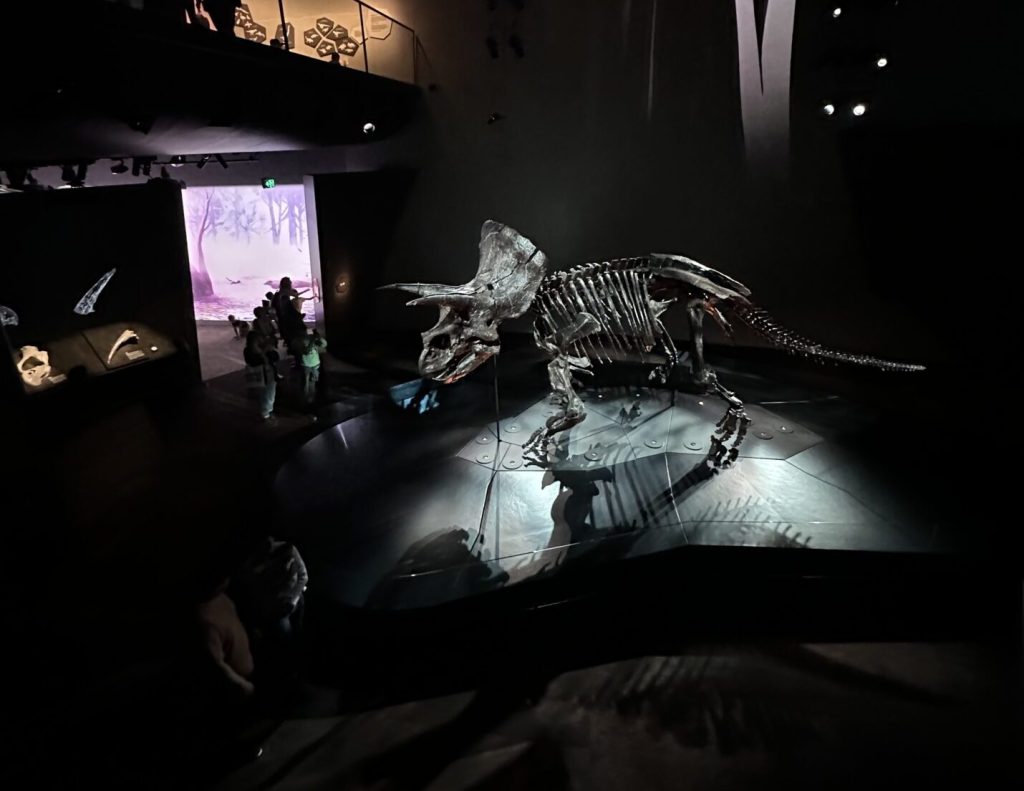 Dinosaur Skeleton at Melbourne Museum.