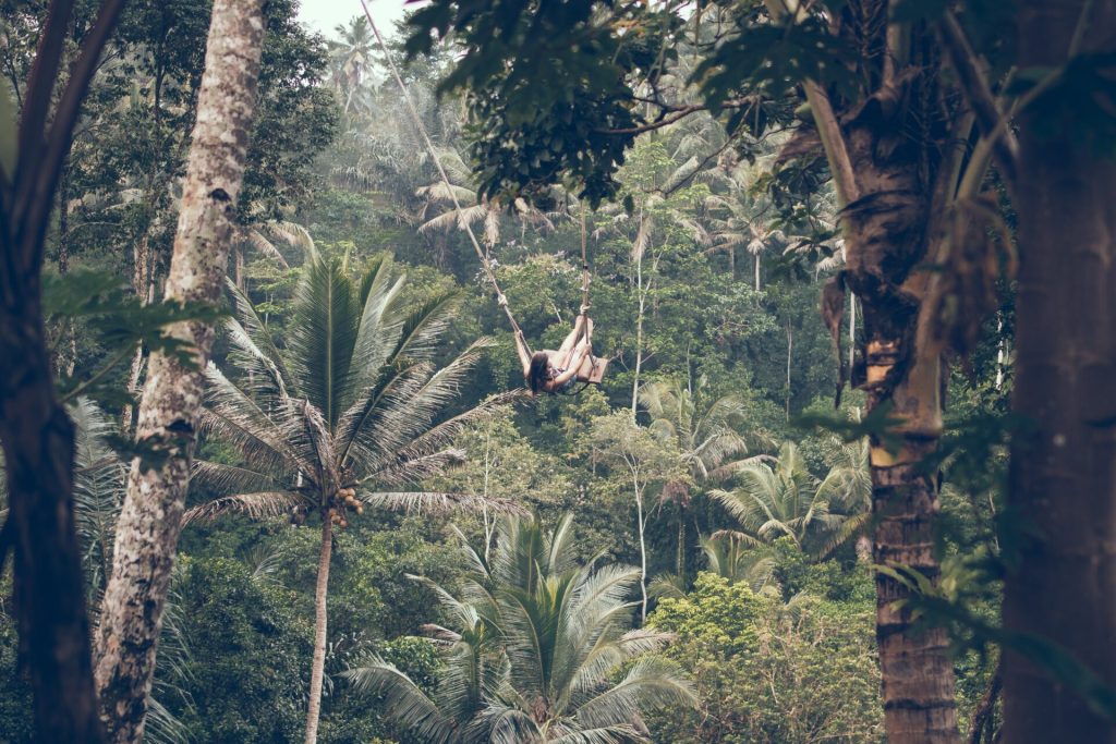 A woman from behind on a jungle swing in Bali.