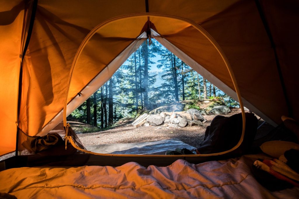 View from inside an oragne tent in the forest.