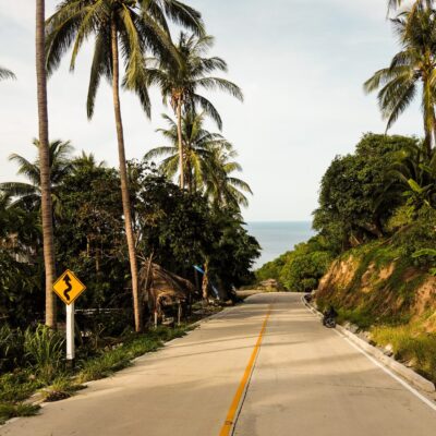 Concrete road in Koh Tao surrounded by palm trees