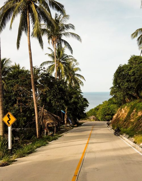 Concrete road in Koh Tao surrounded by palm trees