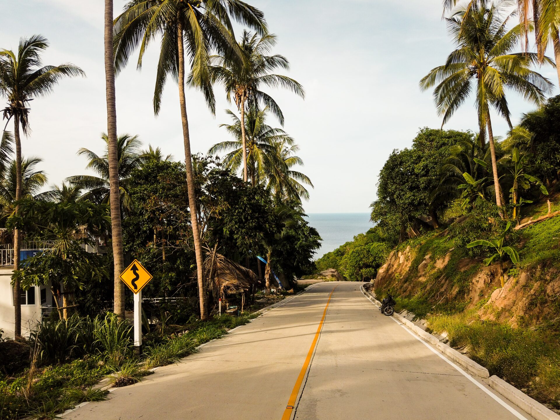 Concrete road in Koh Tao surrounded by palm trees