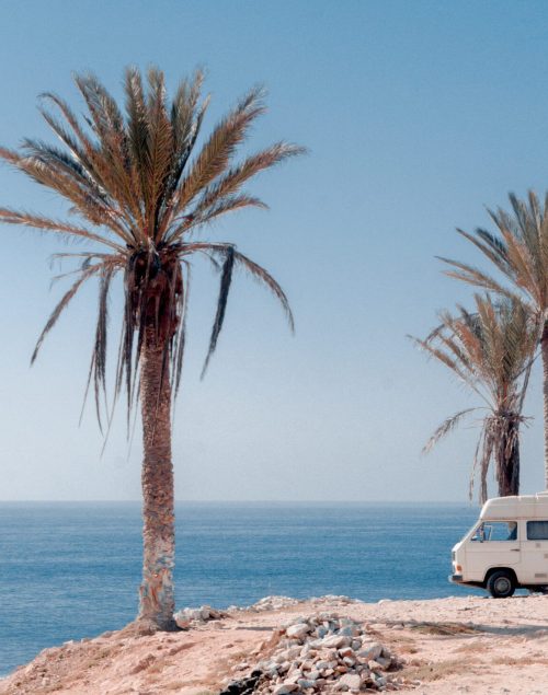 A white campervan standing on a cliff. Sea in the background, two palm trees. This symbolises Freedom.