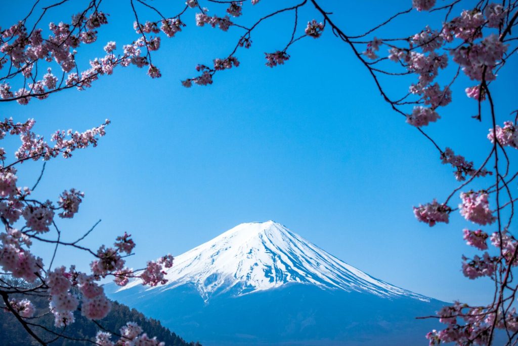 Japans Mount Fuji with cherry blossom in the foreground, Digital Nomad Visa Japan