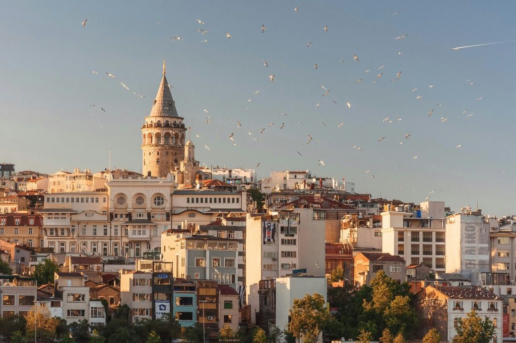 Istanbul by daytime, birds are flying across the blue sky, turkey digital nomad visa