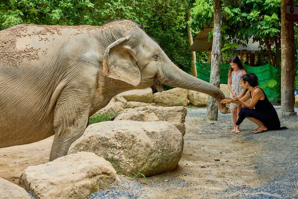 mother an daughter standing in front of an elephant and petting it