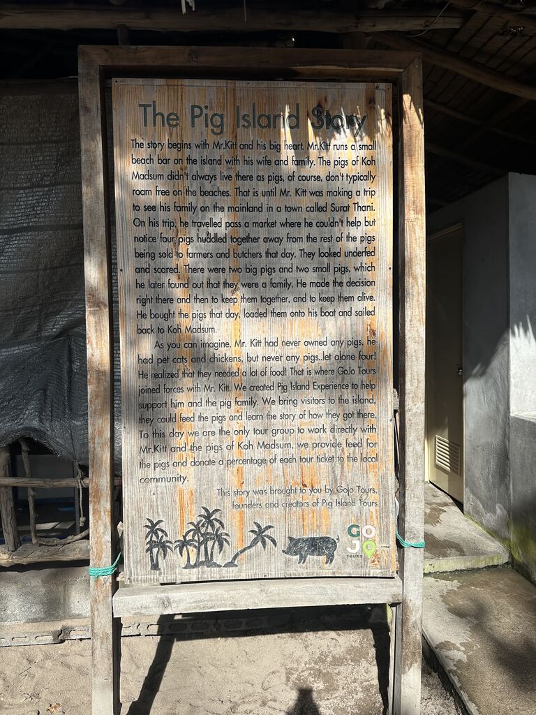 Wooden sign with story of pig island written onto it