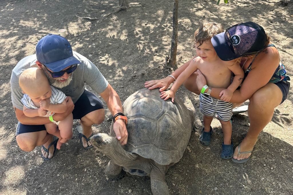 Sara, Carl, and their two children interact with a large tortoise during an outdoor family adventure. The family is gathered around the tortoise, gently touching its shell, with trees and dirt visible in the background.