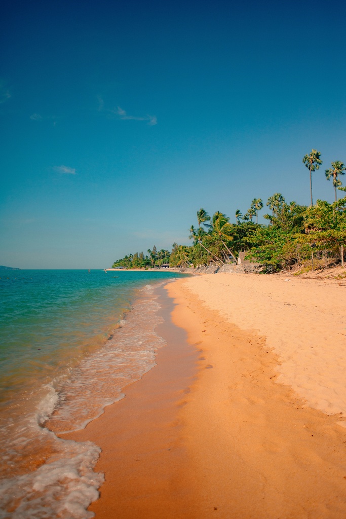 A tranquil beach on Koh Samui, Thailand, featuring soft golden sand, calm turquoise waters, and palm trees lining the shore under a clear blue sky.