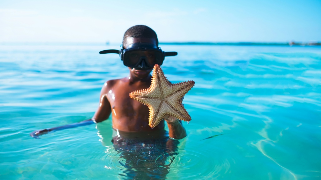 Boy in the sea holding a sea star in his hand