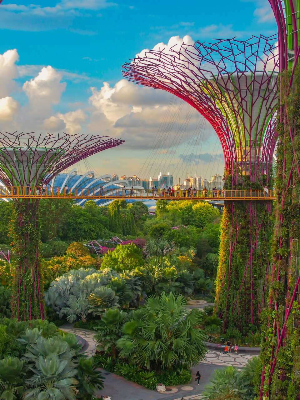 Supetrees in Singapore with lush green park and blue sky