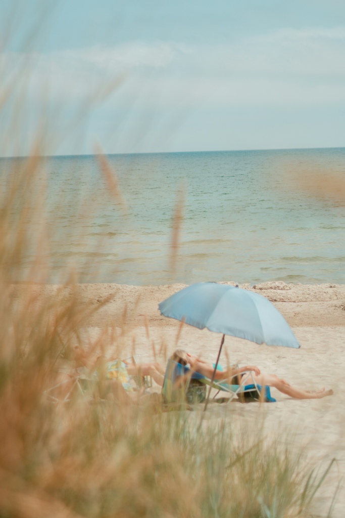 Family under a sun umbrella on the beach