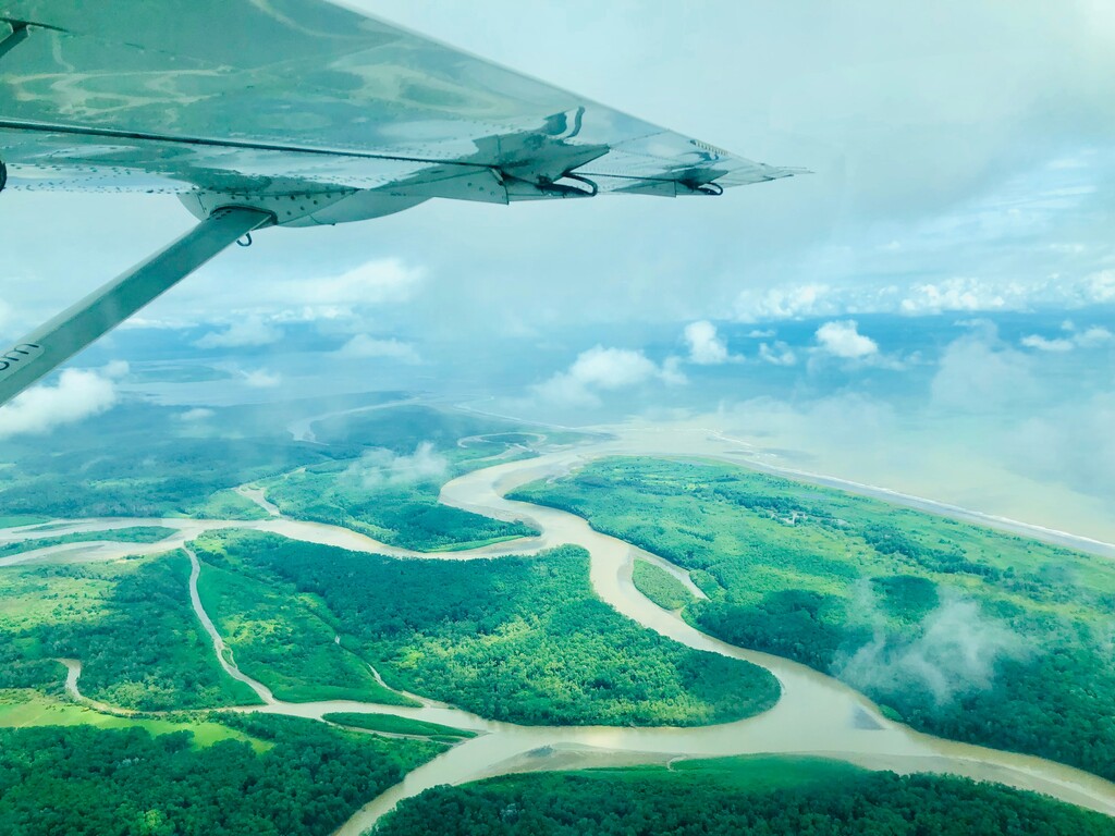 Airplane view on lush green forest