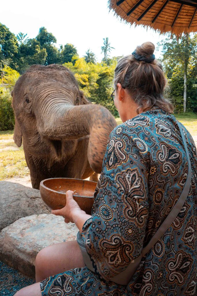 Woman feeding an elephant