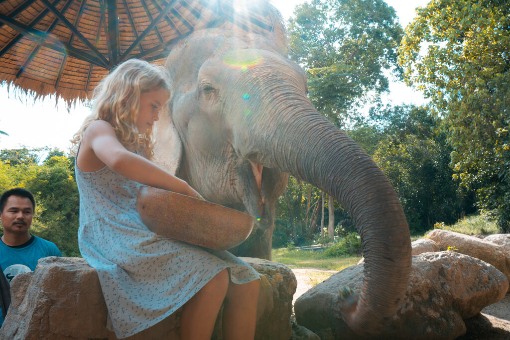 Young girl feeds an elephant at Elephant Sanctuary Koh Phangan