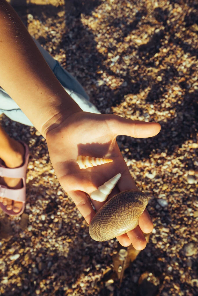 Child holding two shells in her hand. Ao Nang and Railay with Kids.