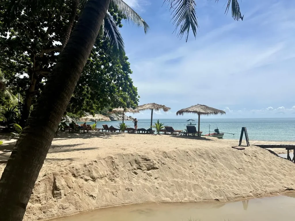 Beach with sun umbrellas made of bamboo.