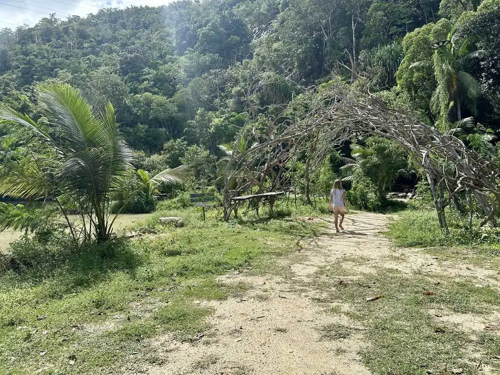 Green jungle area with little girls running around