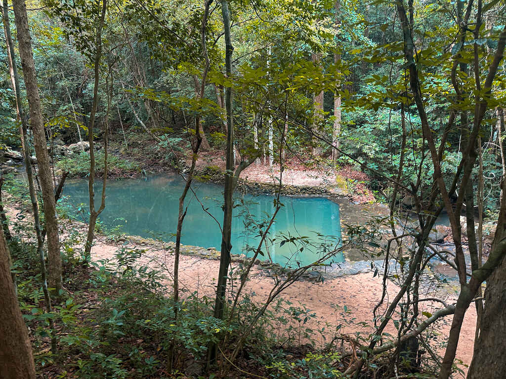 Waterfall Pool in the jungle