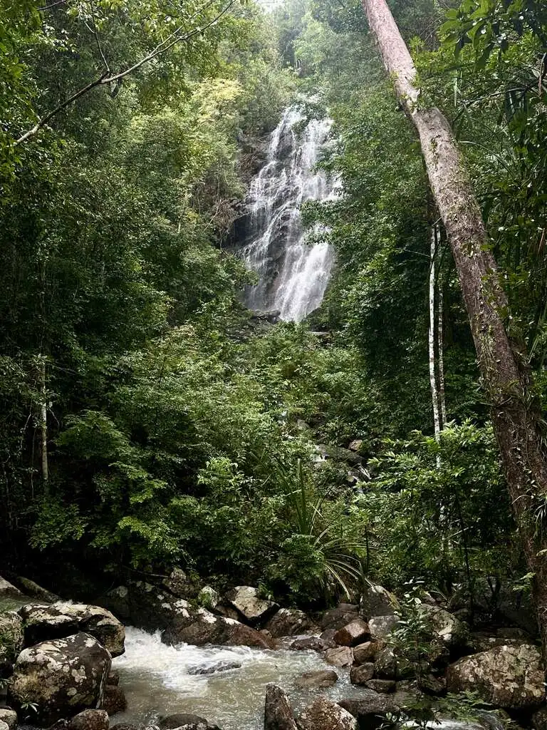 Waterfall with green surroundings