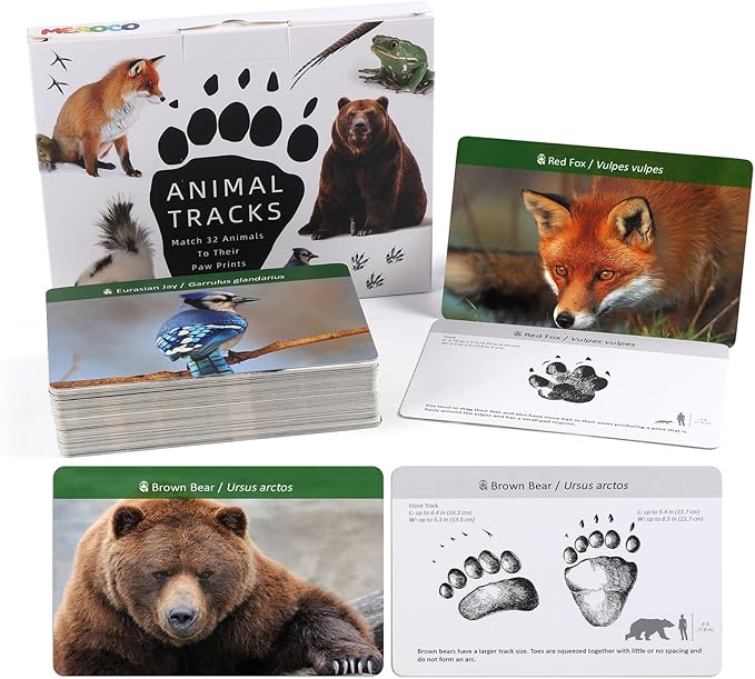 A group of cards with animal pictures and information about their paws.