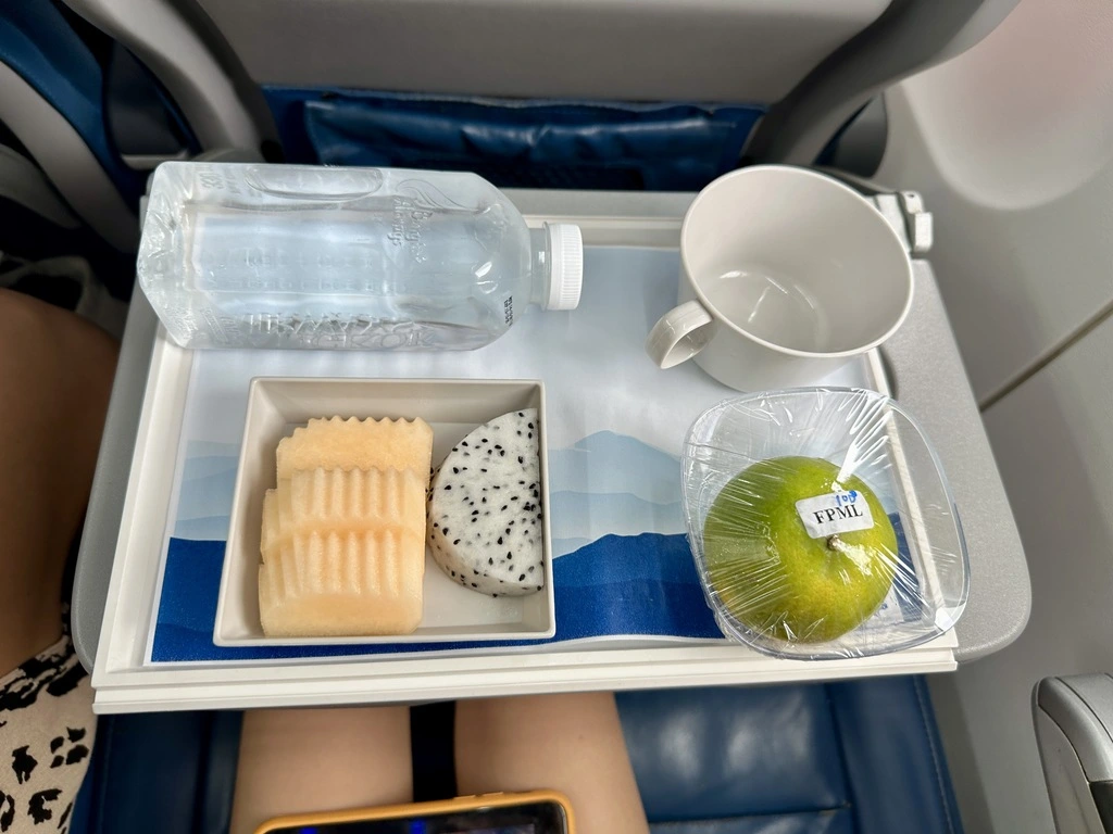 Fruit Plate meal on a plane