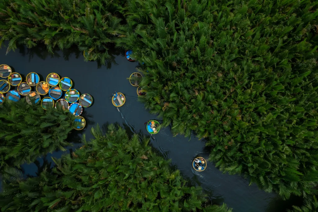 River from above, lush jungle surrounding