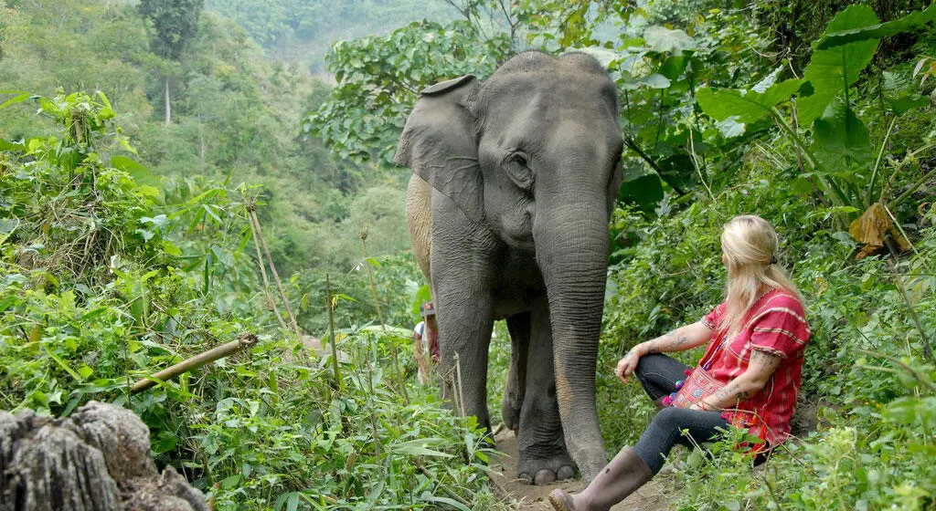 Woman sitting on the floor, elephant standing next to her