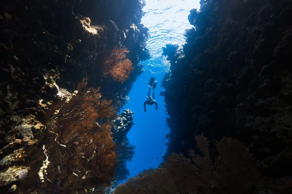 Scuba Diver next to coral reef, best scuba diving in Thailand