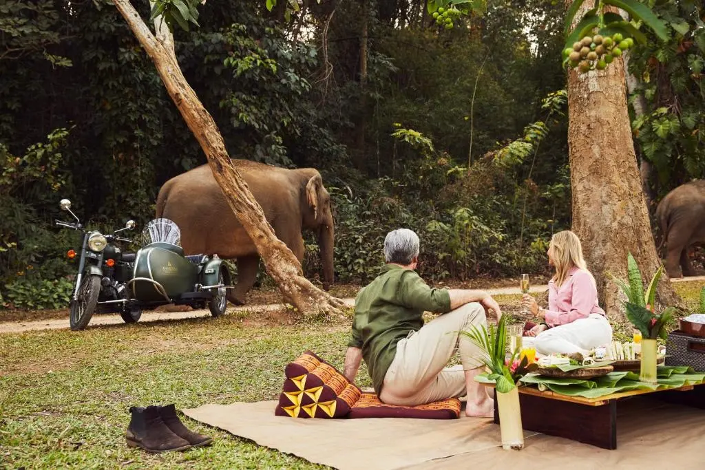 Couple having a picknick while an elephant passes.