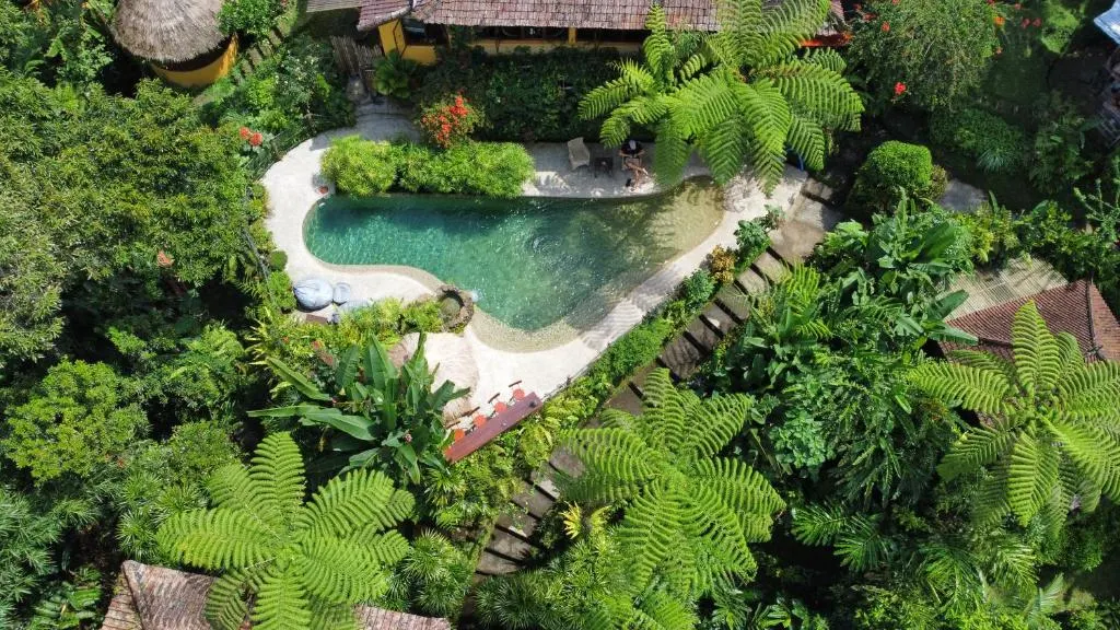 A pool surrounded by trees.