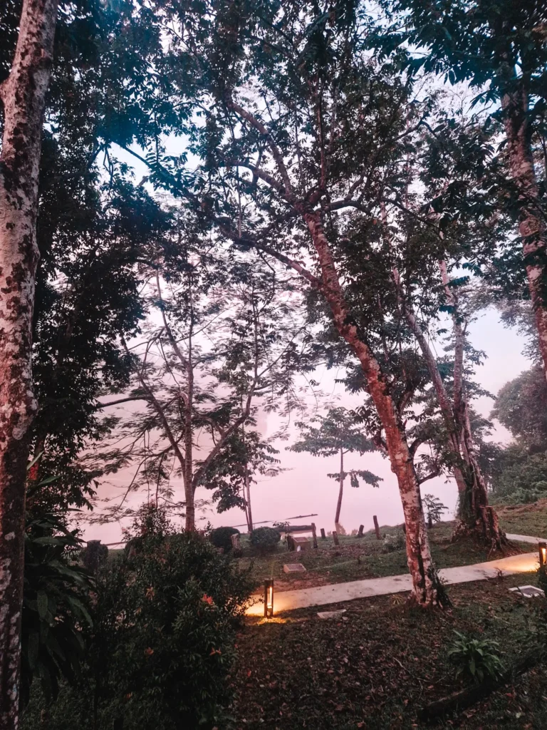 Epic 5-Day Borneo Itinerary: Meet Orangutans & Sun Bears 11 A misty, tree-covered area at dusk, with a soft pink and purple sky filtering through the dense foliage. A dimly lit pathway with small lanterns leads toward a simple wooden bench facing a fog-covered body of water.