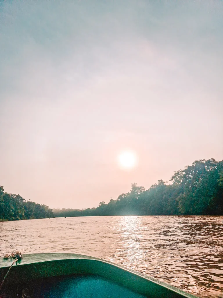 Epic 5-Day Borneo Itinerary: Meet Orangutans & Sun Bears 10 A scenic river view from the front of a small boat, with the sun low in the sky casting a golden glow on the water, surrounded by dense green rainforest.