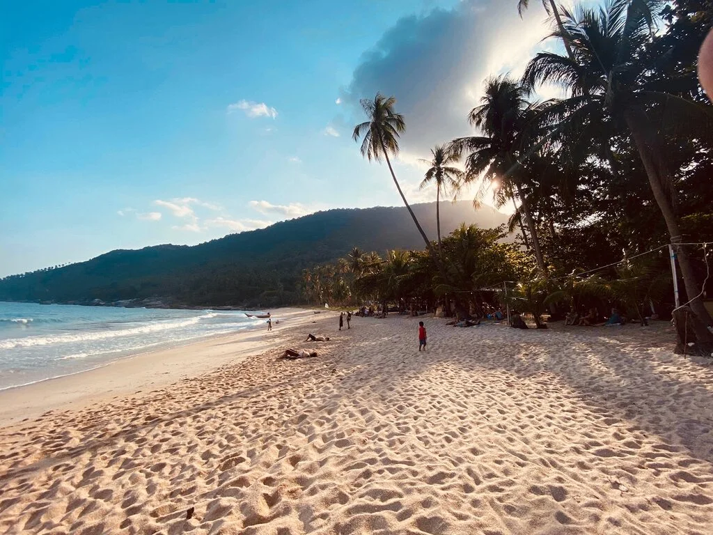 Guide to the Best Koh Phangan Beaches in 2025 14 A wild beach with palm trees and a few people on it.