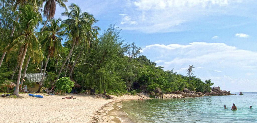 Bech with palm trees.