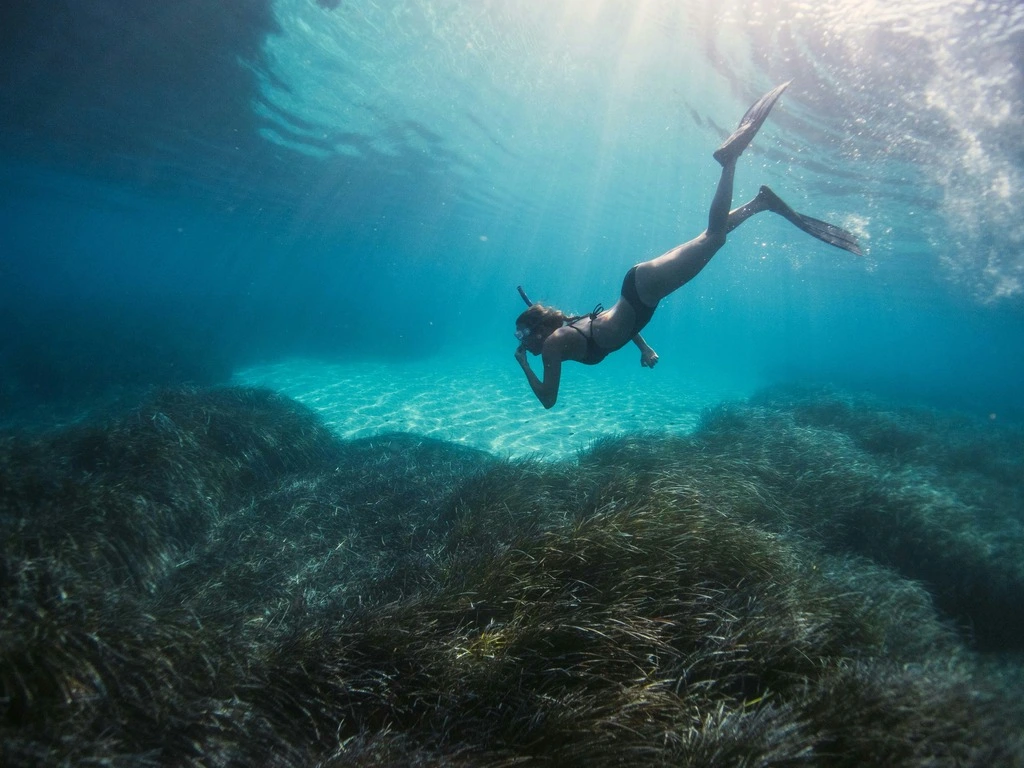 A woman snorkeling underwater in the ocean. Best Snorkeling Spots in Thailand.