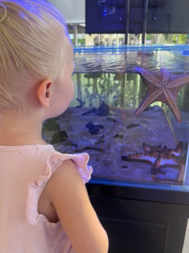Hyatt Regency Phuket with Kids – My Honest Review 4 A girl looking at starfish in a tank.