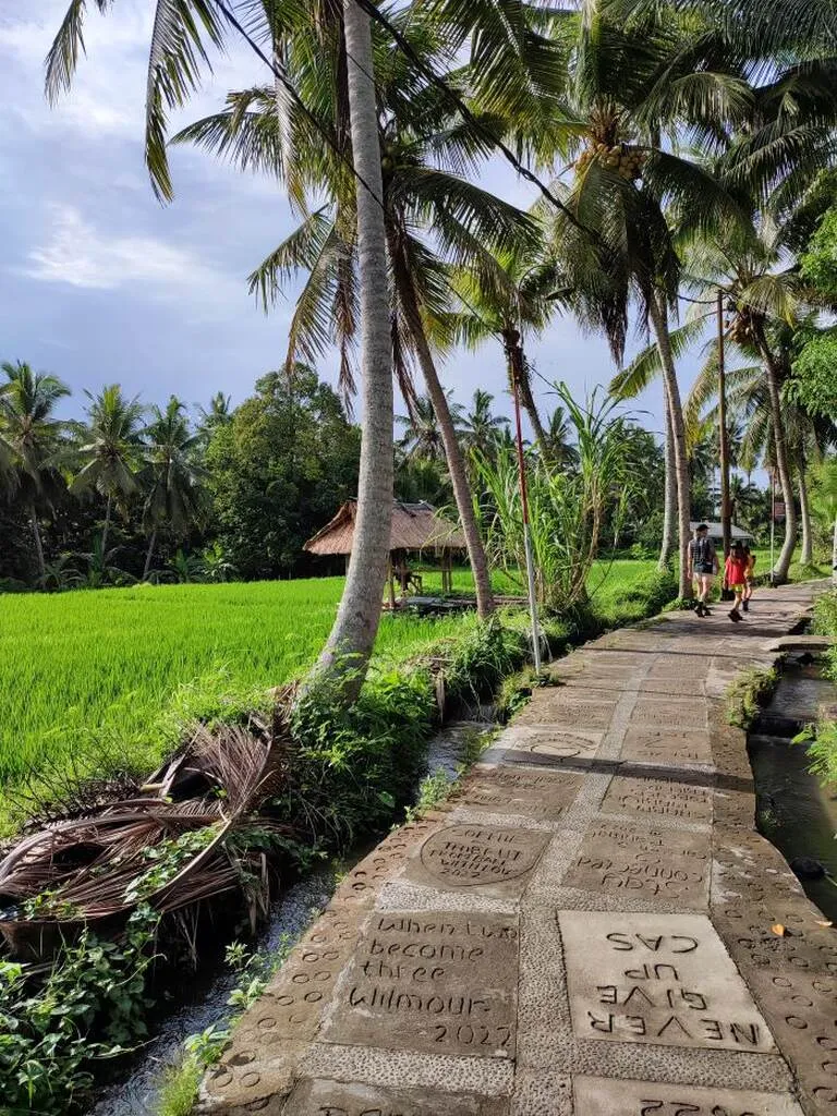 Bali Family Guide – Top 8 Things to do in Ubud with Kids 3 A path with palm trees and people walking.