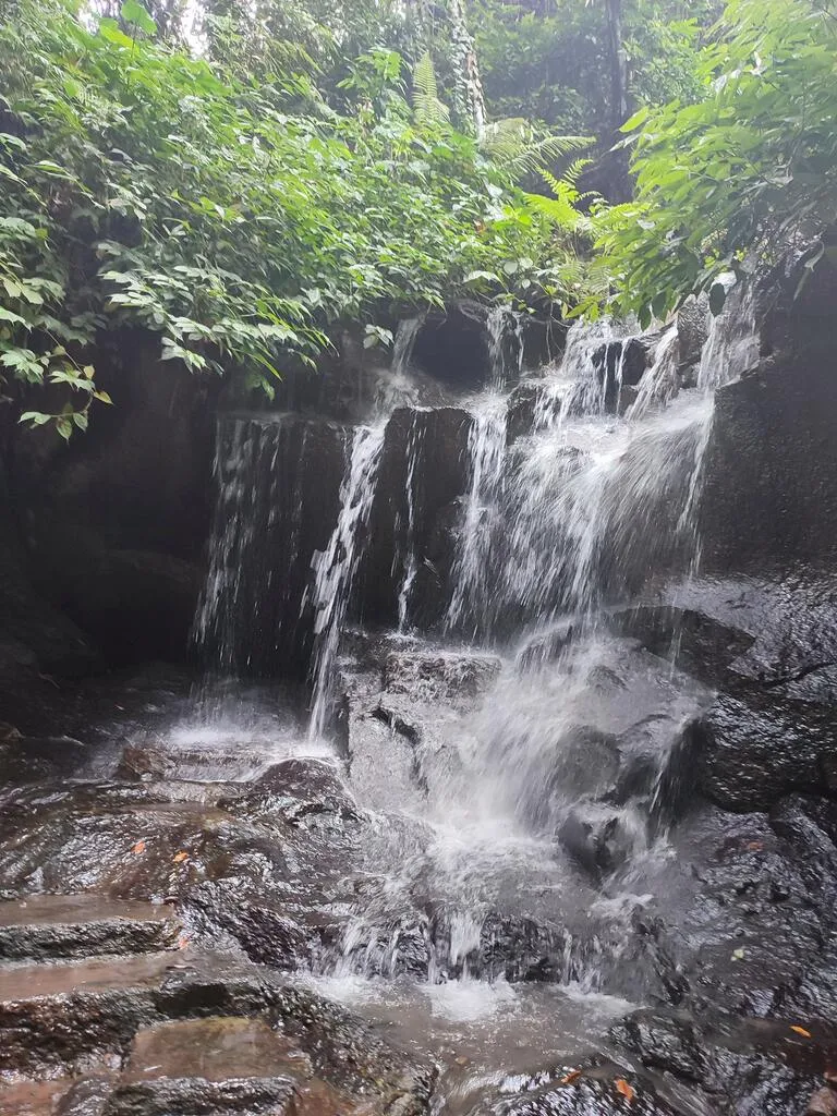 Bali Family Guide – Top 8 Things to do in Ubud with Kids 6 A waterfall in a forest.