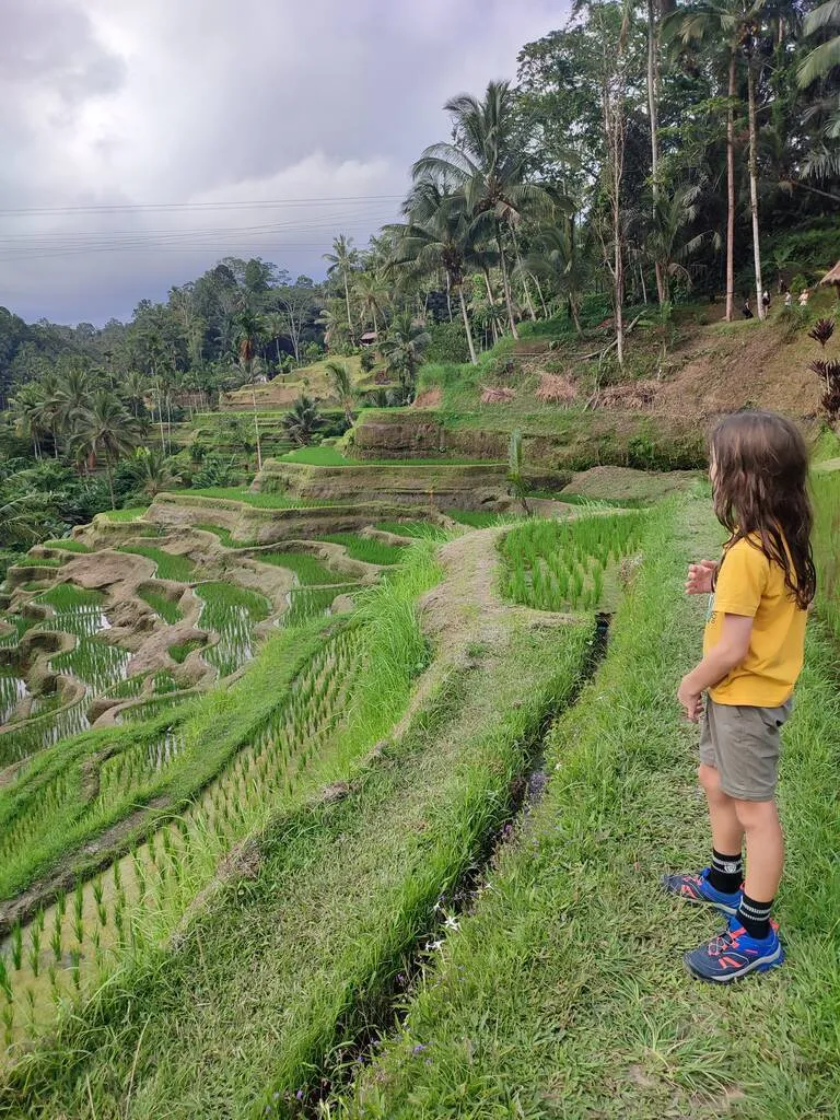 Bali Family Guide – Top 8 Things to do in Ubud with Kids 2 A child standing on a hillside with rice terraces.