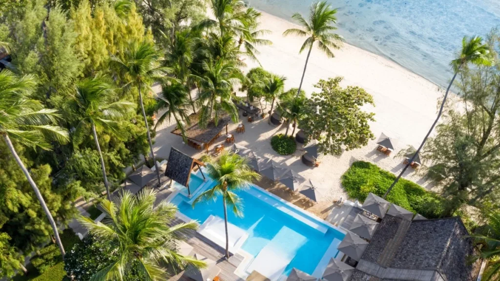 A pool and palm trees on a beach.