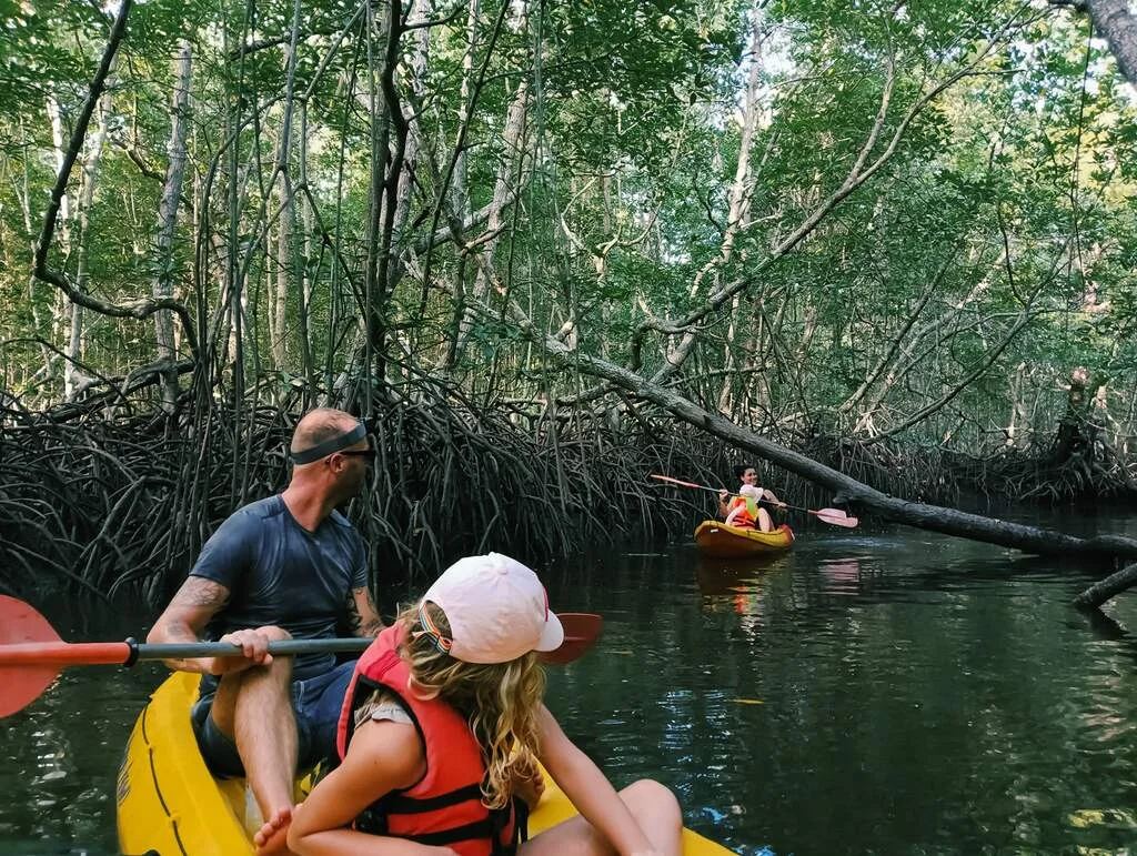 Mangrove Kayaking in Koh Yao Yai With Kids – Family Review 2 A family kayaking between mangroves.