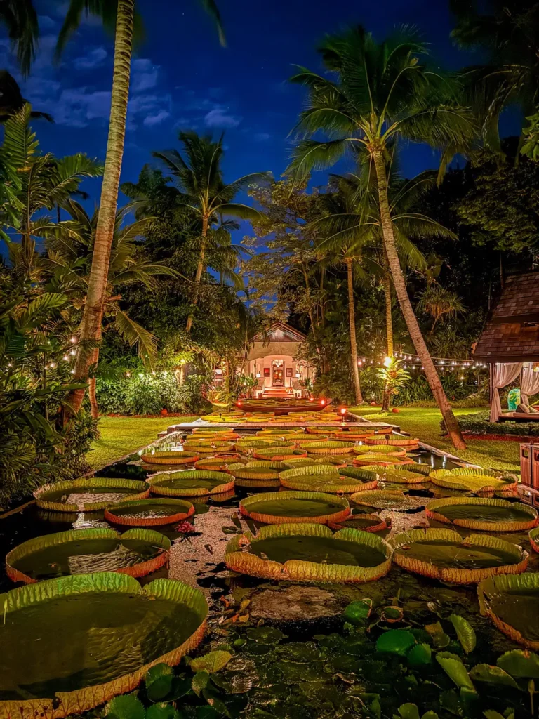 Anantara Bophut Koh Samui – Honest Family Review 2025 29 A pond with lily pads and palm trees.