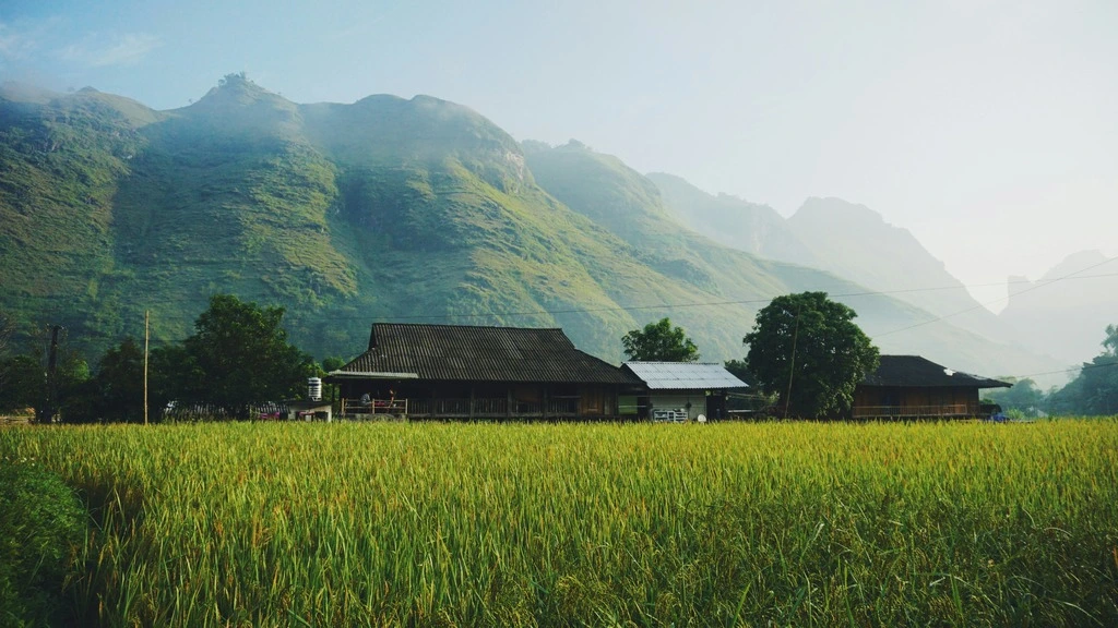 Large green field with mountains in the background.