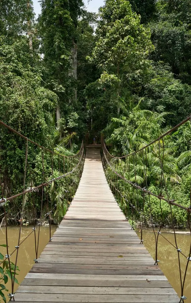 A wooden bridge over water.